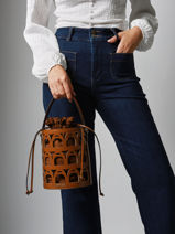 Bucket Bag Epona Leather Etrier Brown epona EEPO136M-vue-porte